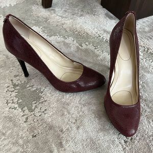 Calvin Klein Whinnie Snakeskin Pumps in Burgundy